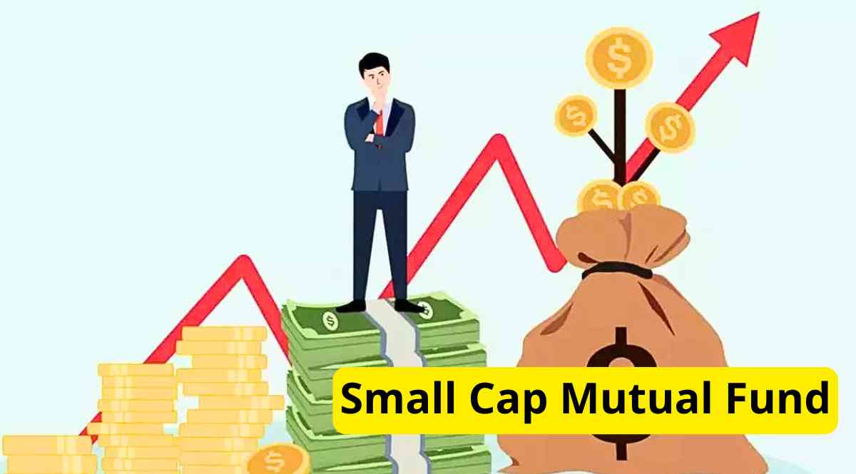 Small Cap Mutual Fund